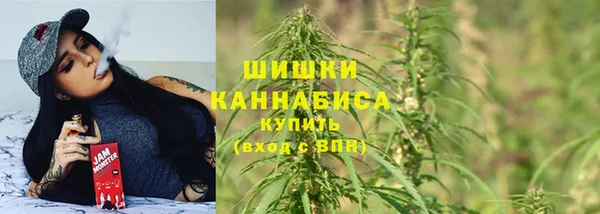 прущие грибы Абдулино