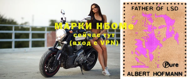 прущие грибы Абдулино