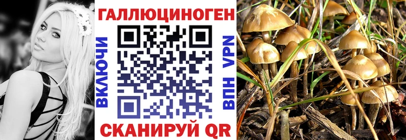 Галлюциногенные грибы мухоморы наркотики гидра ссылки Тамбов
