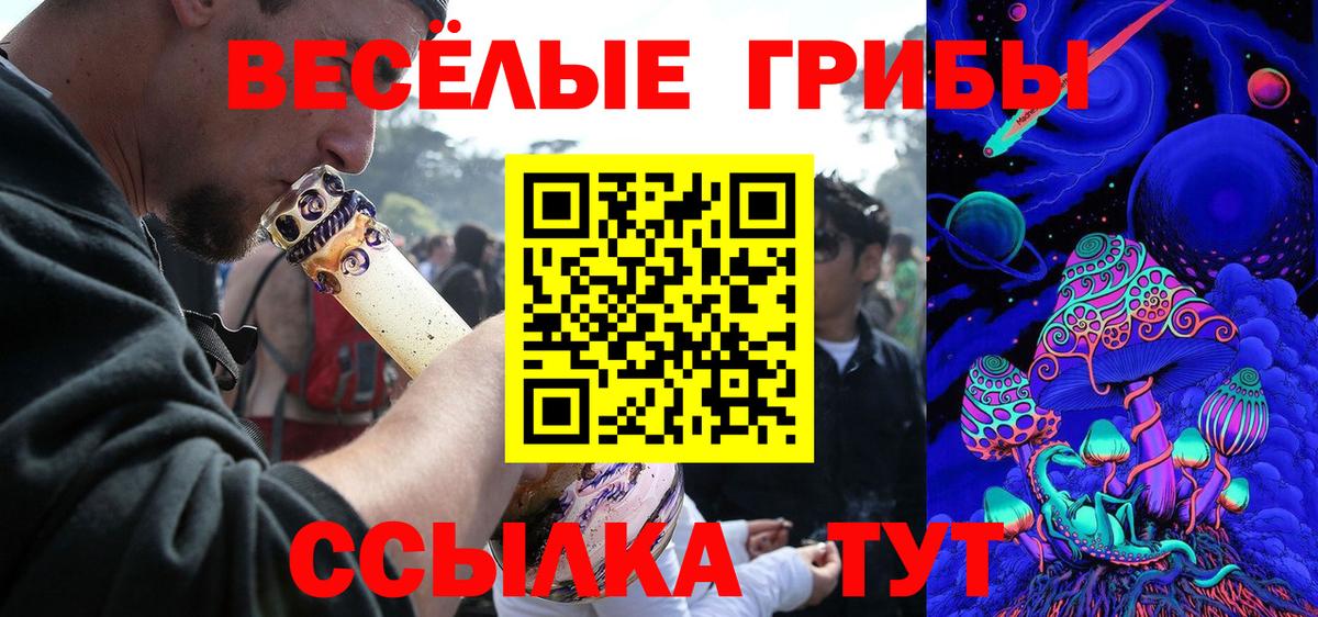 Галлюциногенные грибы мицелий  Вход с VPN  Тамбов  Псилоцибиновые грибы прущие грибы 