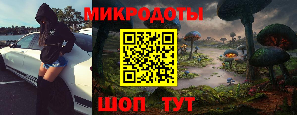 Псилоцибиновые грибы ЛСД Тамбов