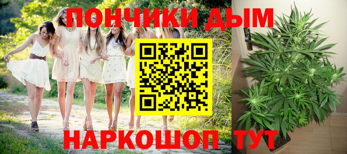 Бошки марихуана марихуана  Вход с VPN  Конопля семена  Конопля OG Kush  Канабис OG Kush  Тамбов 